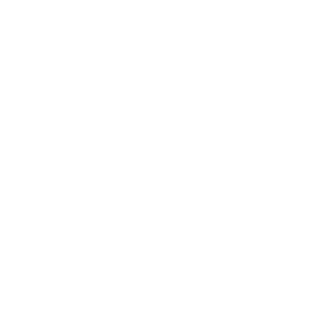 Button für Werdegang, Philosophie und Anspruch